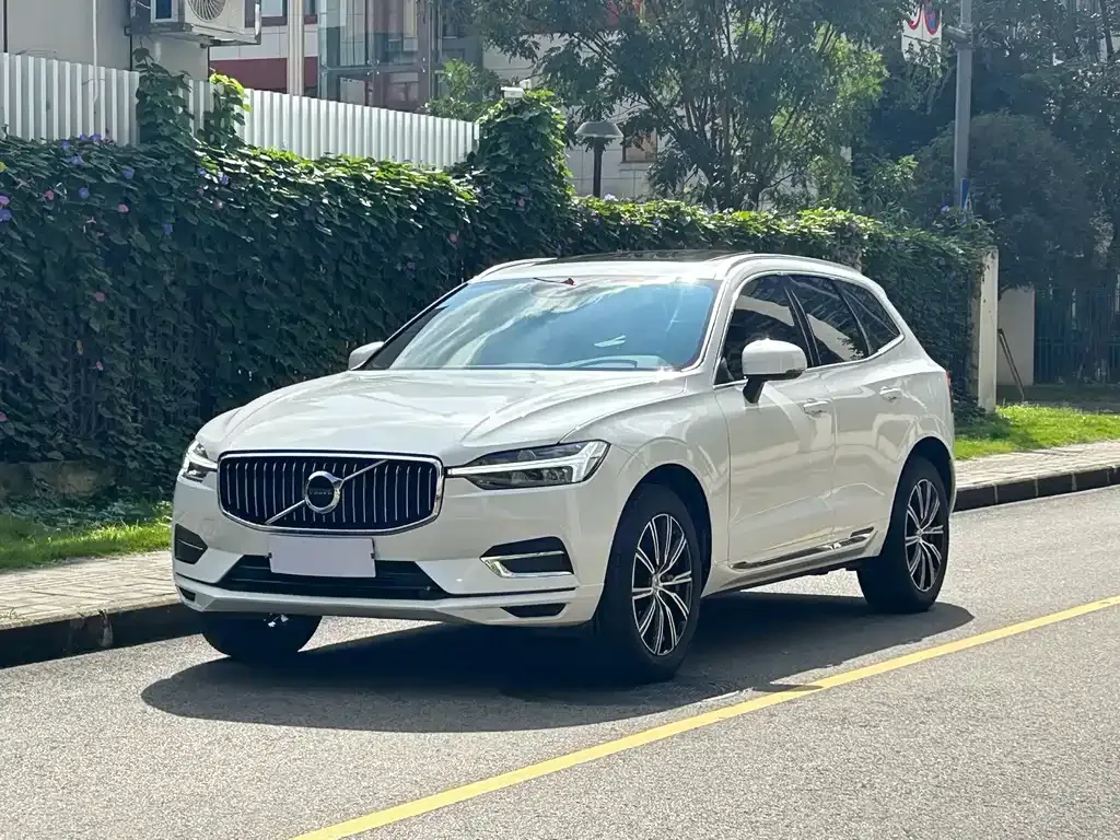 Volvo XC60 2021 из CN, фото 1