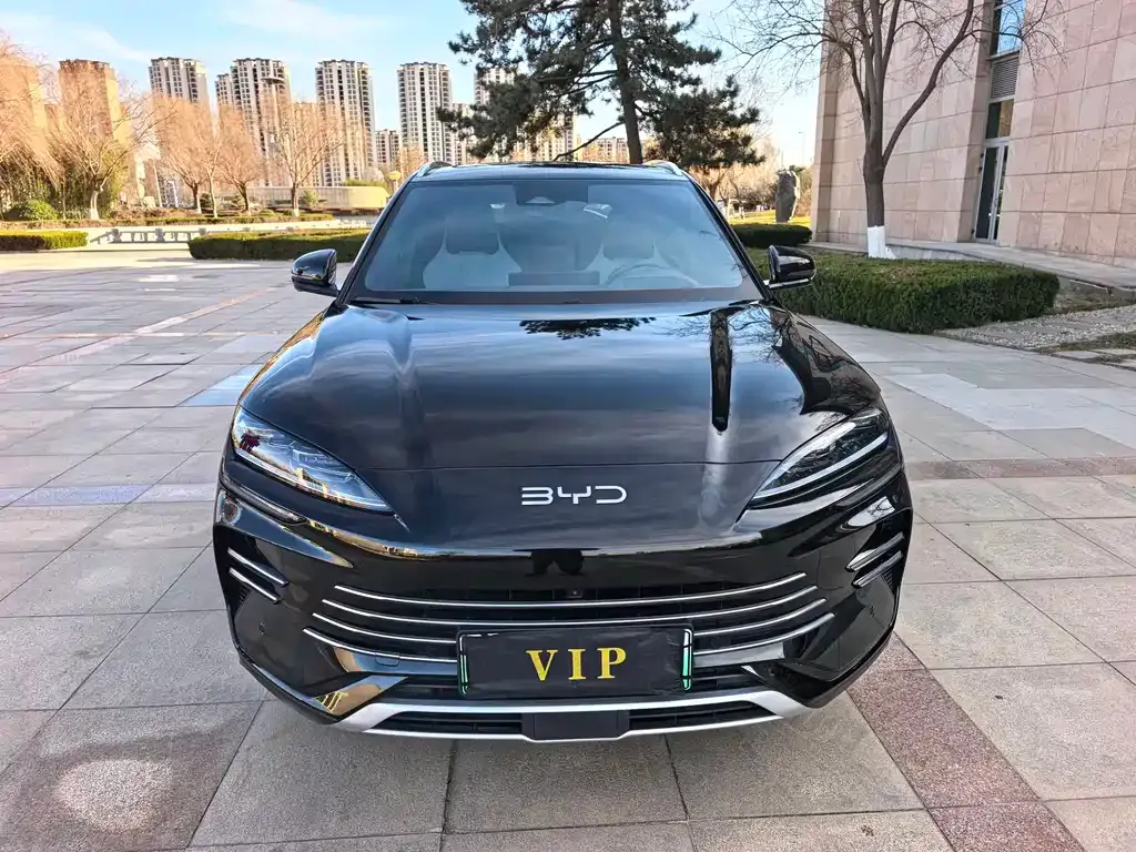 BYD PLUS New Energy 2025 из CN, фото 1