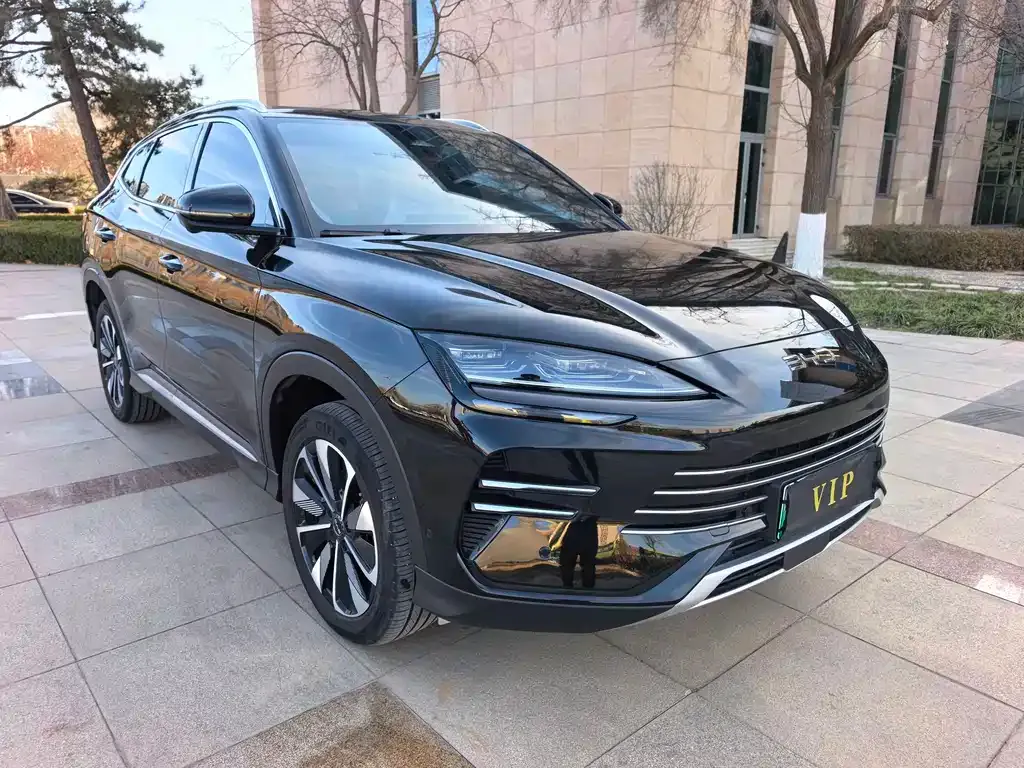 BYD PLUS New Energy 2025 из CN, фото 6