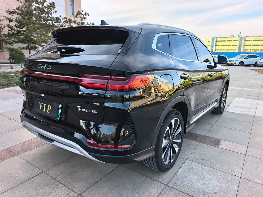 BYD PLUS New Energy 2025 из CN, фото 7