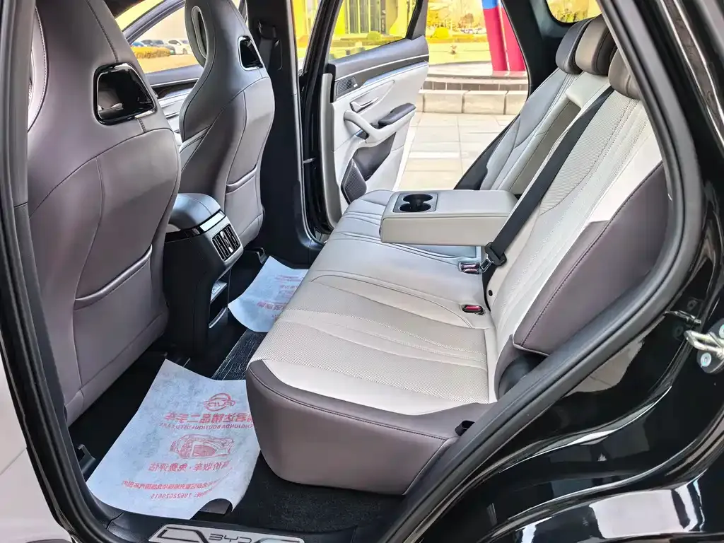 BYD PLUS New Energy 2025 из CN, фото 9