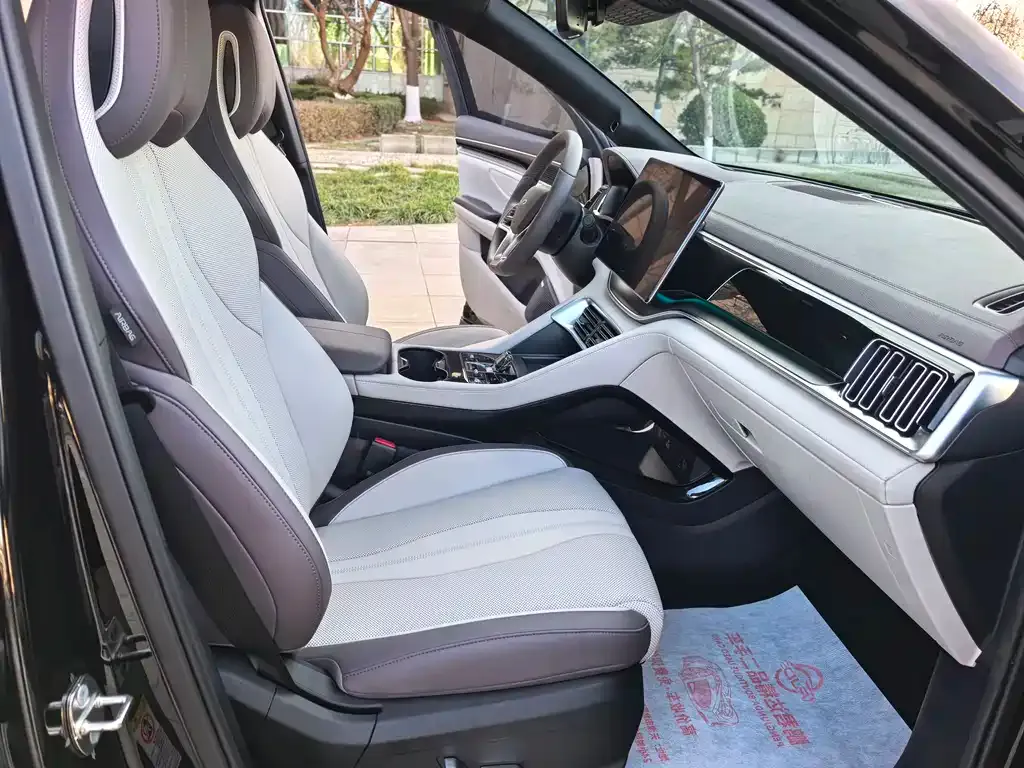 BYD PLUS New Energy 2025 из CN, фото 4