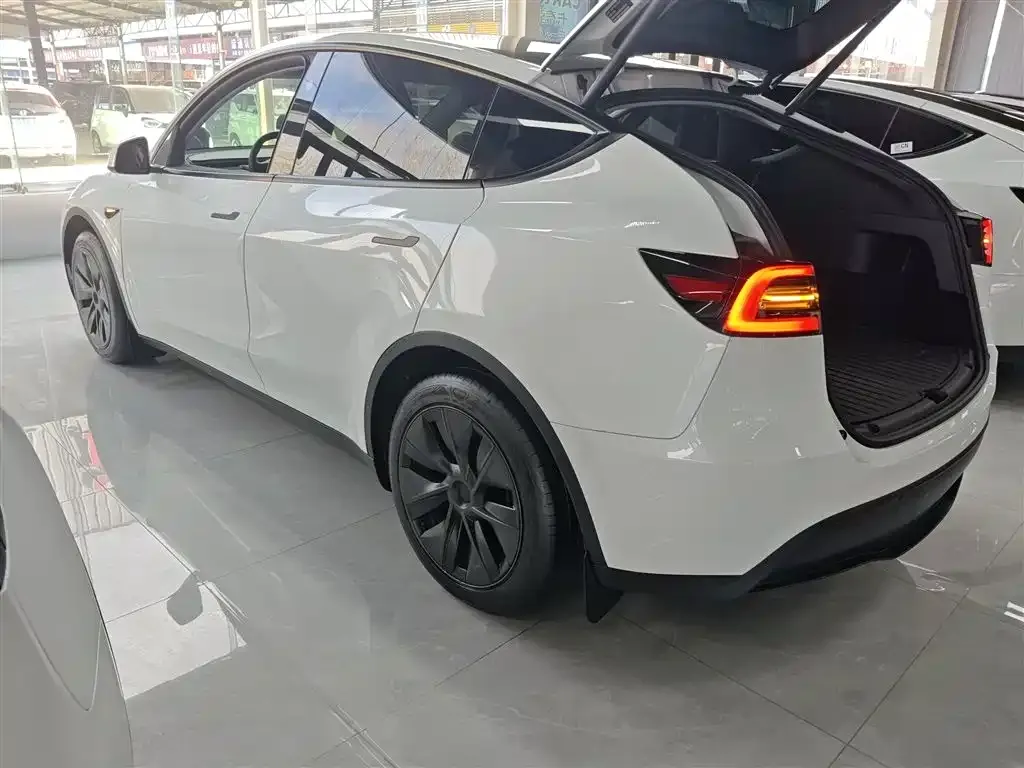 Tesla Model Y 2024 из CN, фото 3