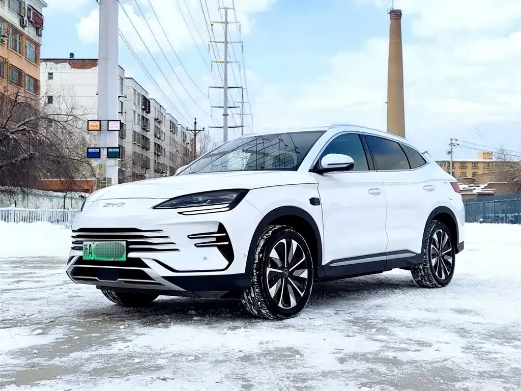 BYD PLUS New Energy — фото 1