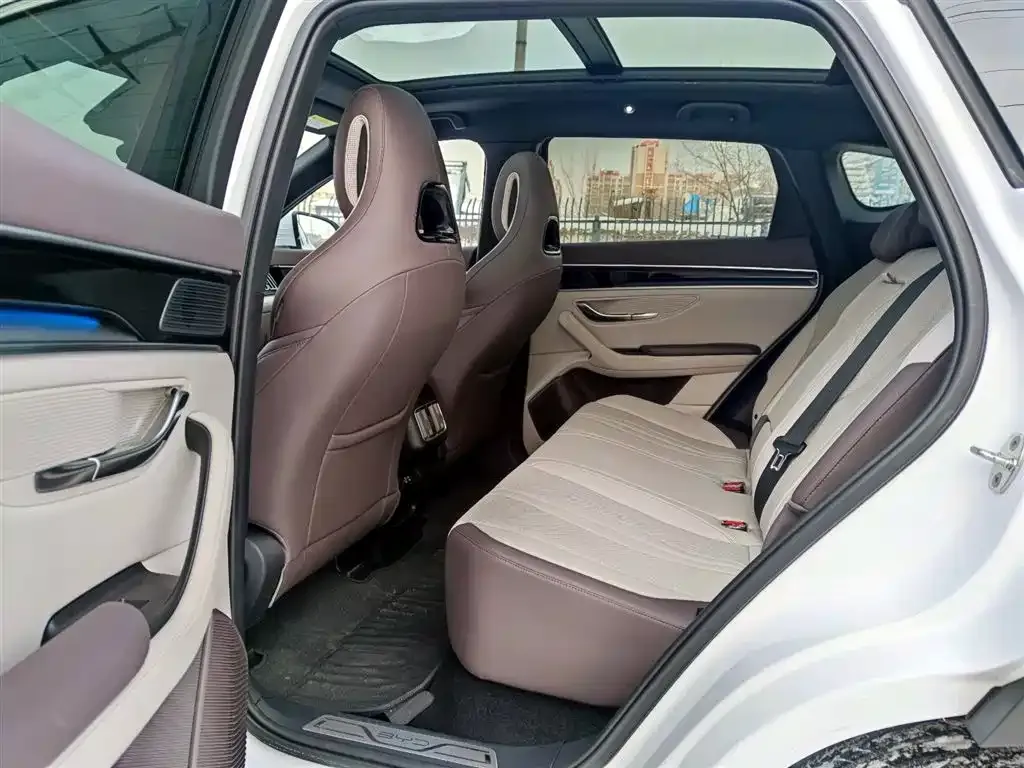 BYD PLUS New Energy — фото 10