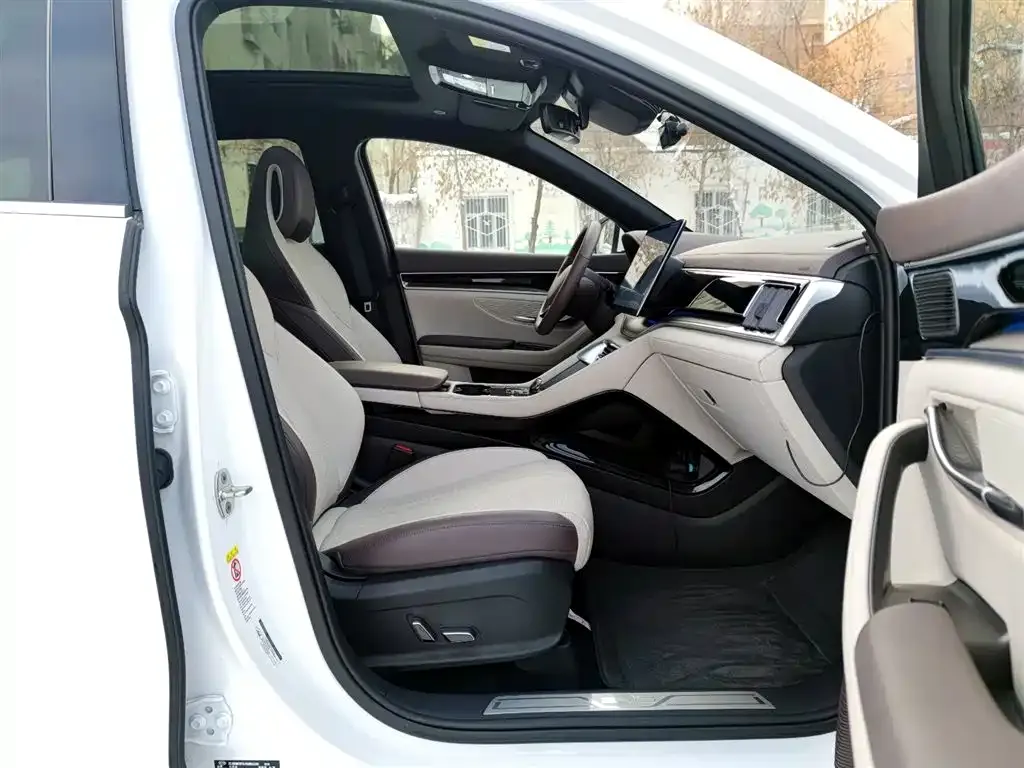 BYD PLUS New Energy — фото 8