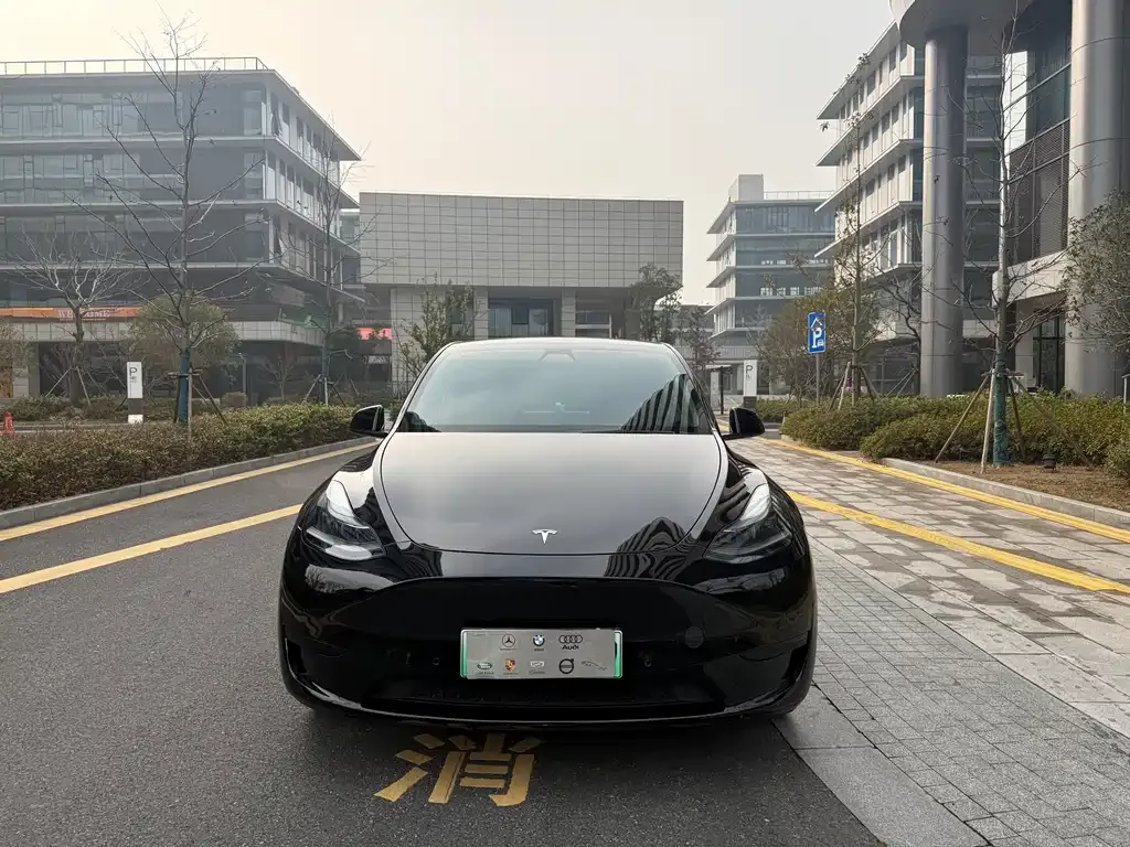 Tesla Model Y 2023 из CN, фото 3