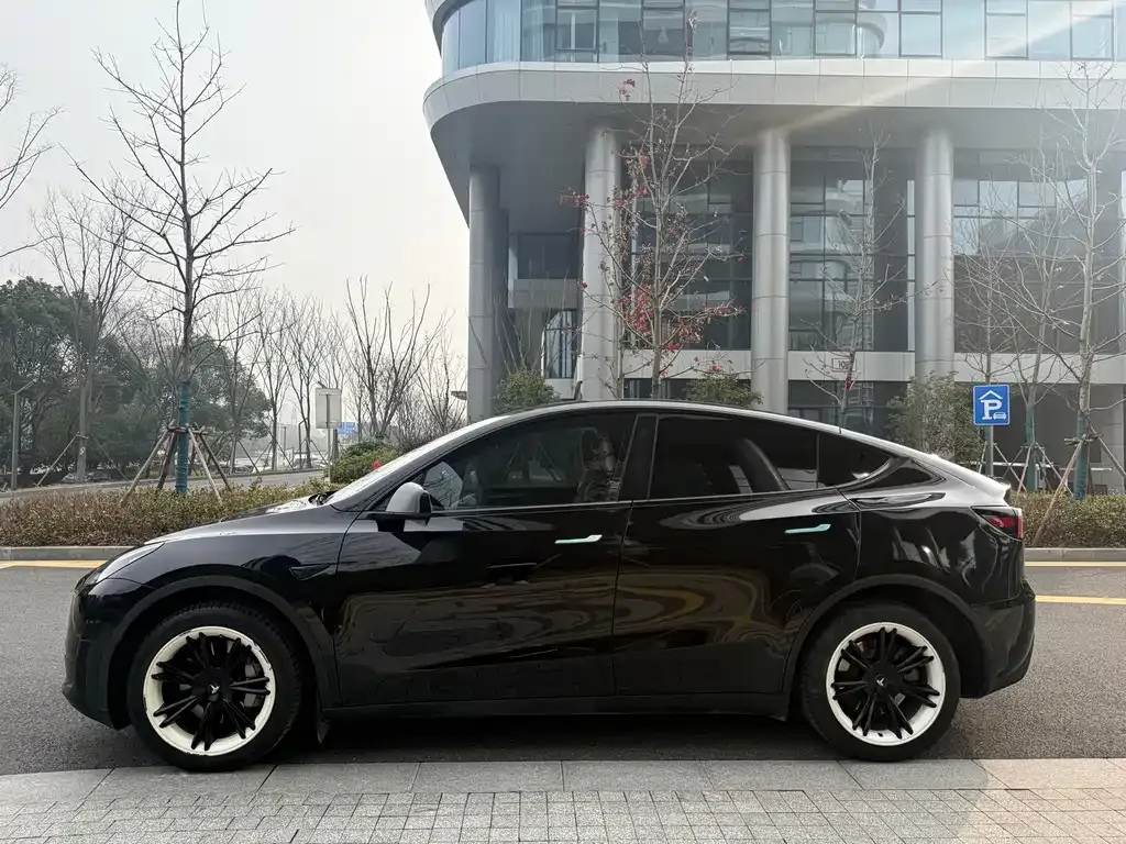 Tesla Model Y 2023 из CN, фото 4