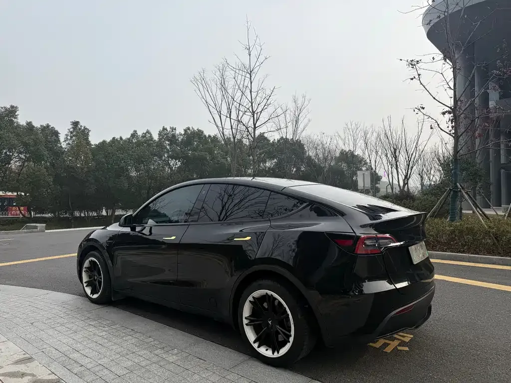 Tesla Model Y 2023 из CN, фото 5