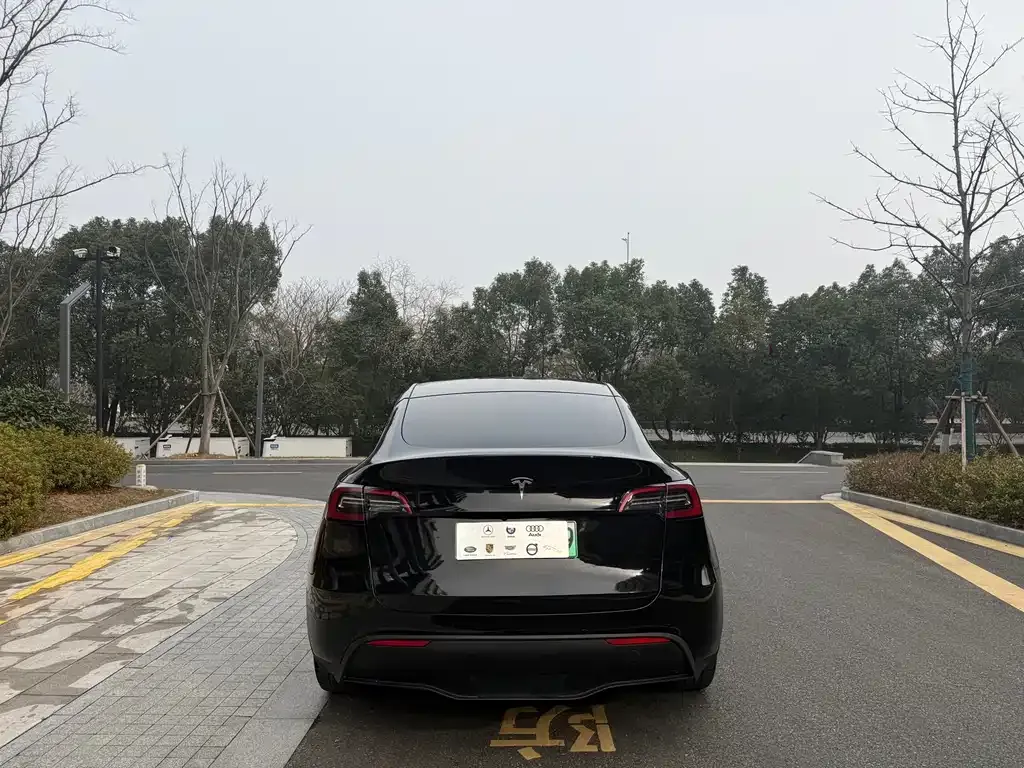 Tesla Model Y 2023 из CN, фото 9