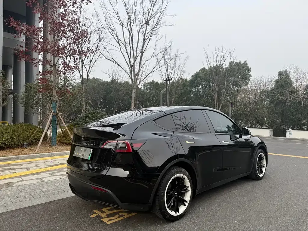 Tesla Model Y 2023 из CN, фото 7