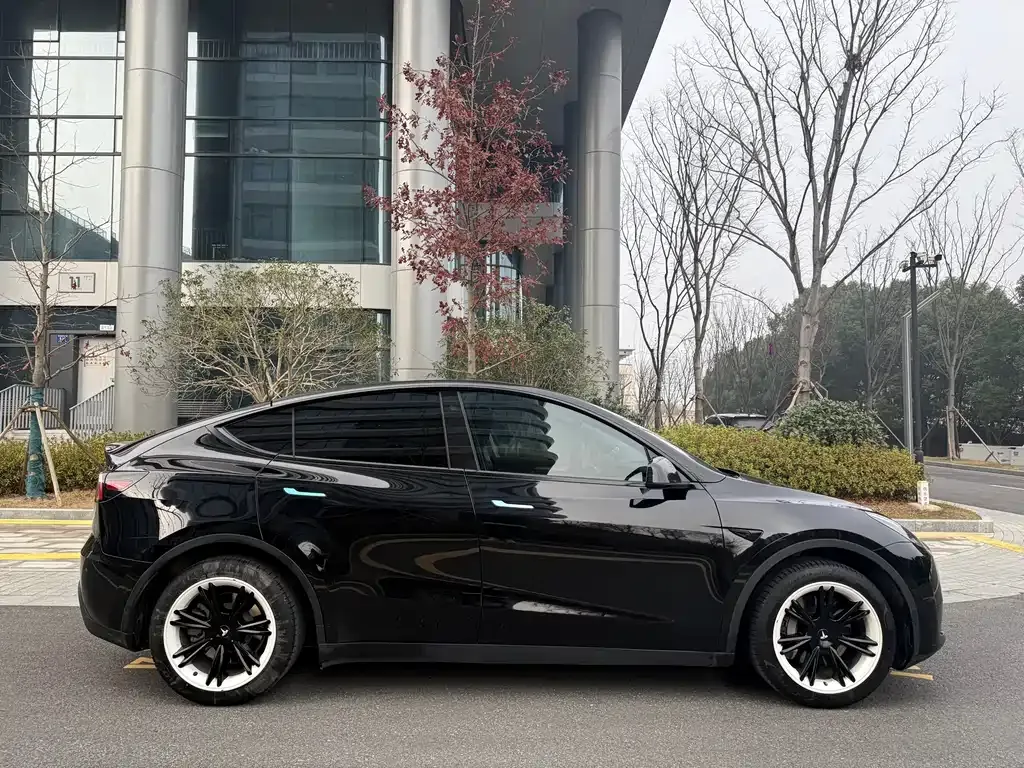 Tesla Model Y 2023 из CN, фото 8