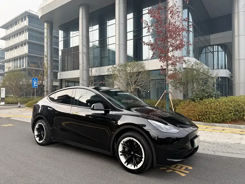 Tesla Model Y 2023 из CN, фото 2