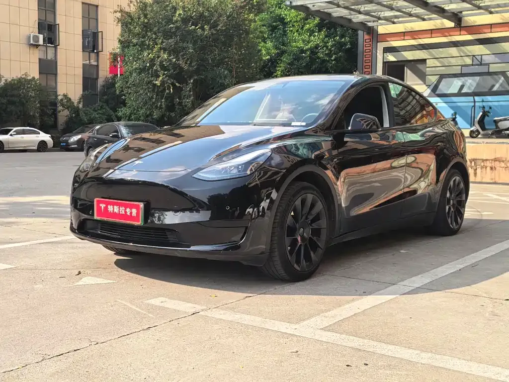 Tesla Model Y 2023 из CN, фото 1