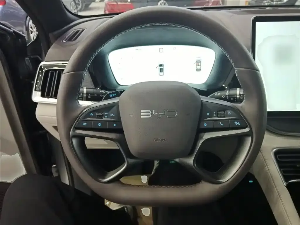 BYD PLUS New Energy 2025 из CN, фото 10