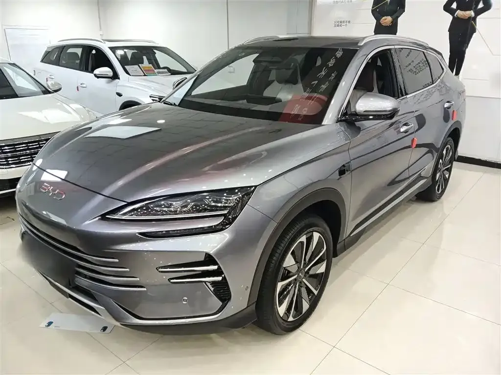 BYD PLUS New Energy 2025 из CN, фото 2