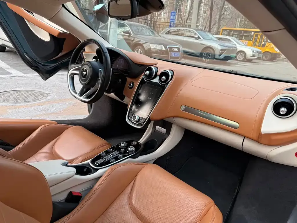 McLaren GT 2021 из CN, фото 5