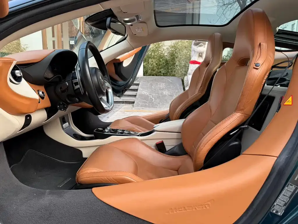 McLaren GT 2021 из CN, фото 10