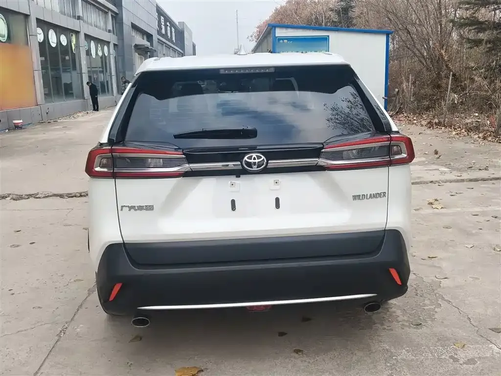 Toyota Wildlander 2021 из CN, фото 6