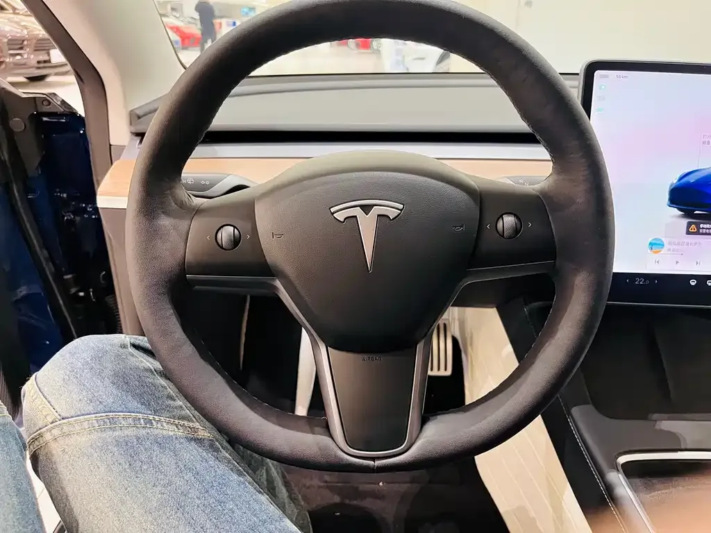 Tesla Model 3 2022 из CN, фото 6