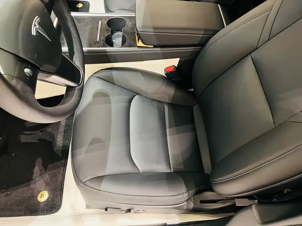 Tesla Model 3 2022 из CN, фото 4
