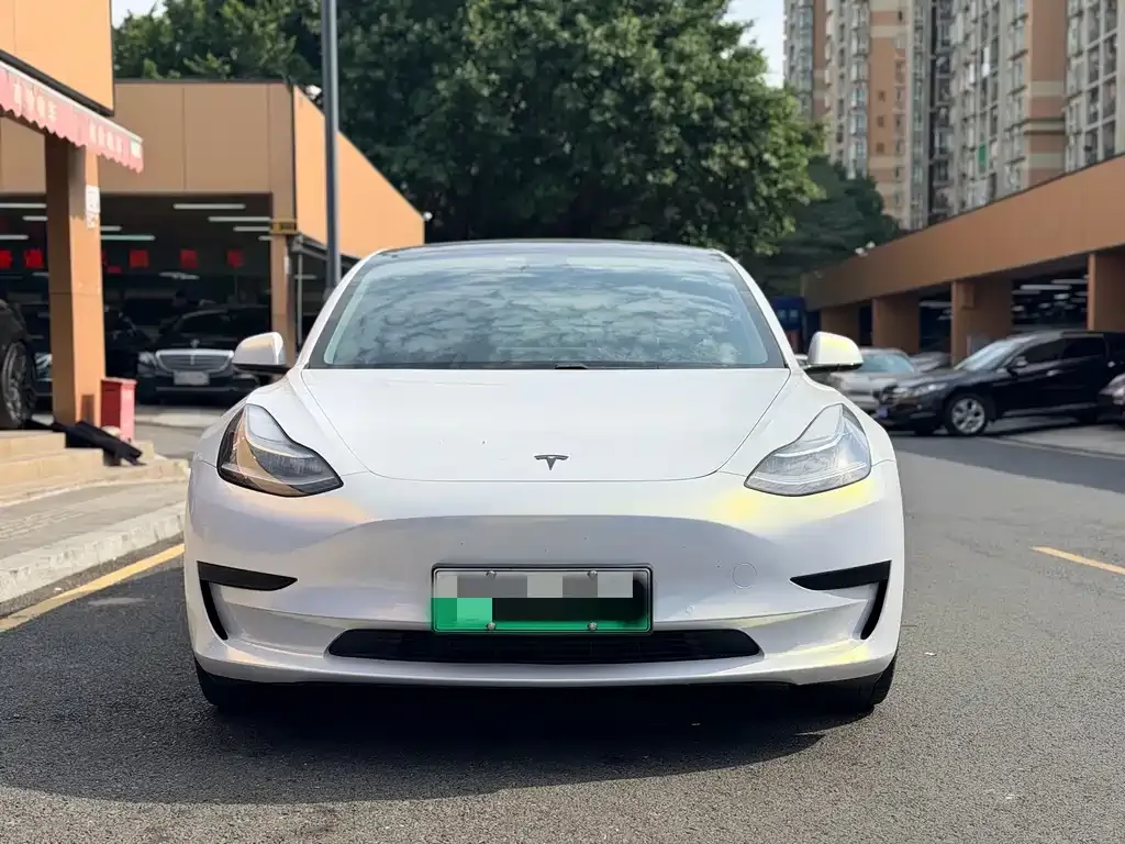 Tesla Model 3 2021 из CN, фото 9
