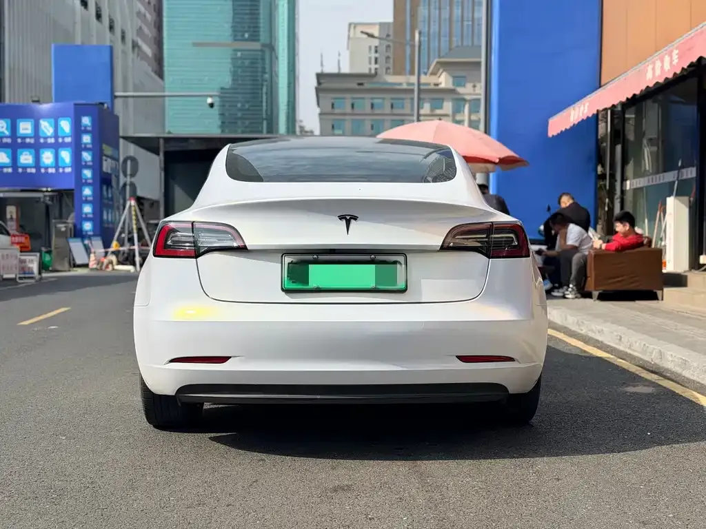 Tesla Model 3 2021 из CN, фото 5