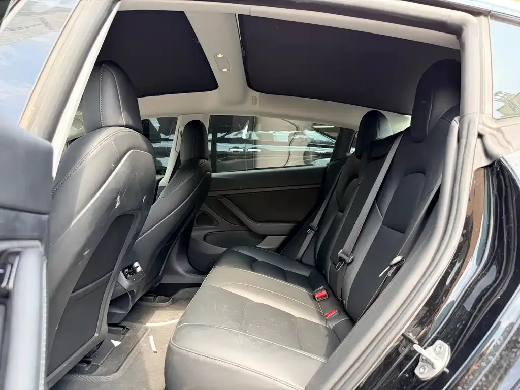 Tesla Model 3 2021 из CN, фото 2
