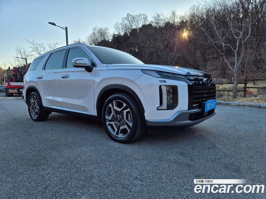 Hyundai Palisade — фото 10