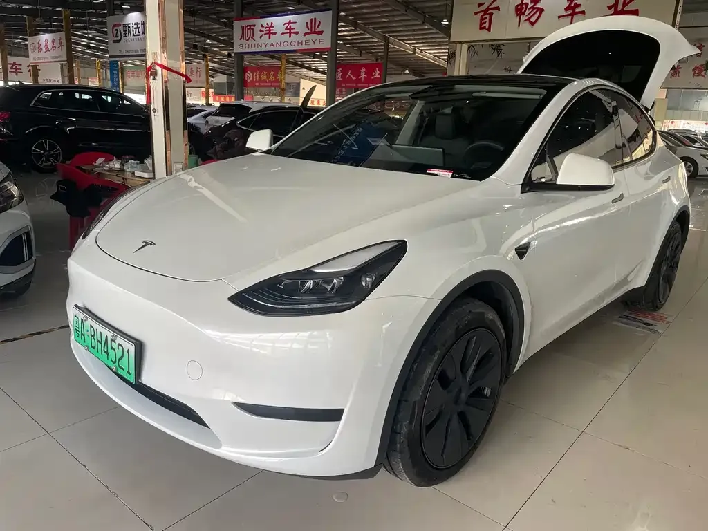 Tesla Model Y 2024 из CN, фото 1
