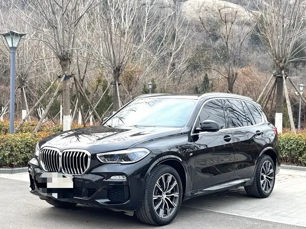 BMW X5 (Import) 2021 из CN, фото 1