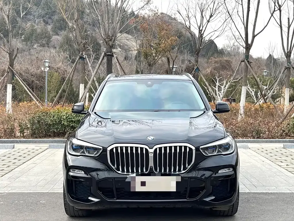 BMW X5 (Import) 2021 из CN, фото 3