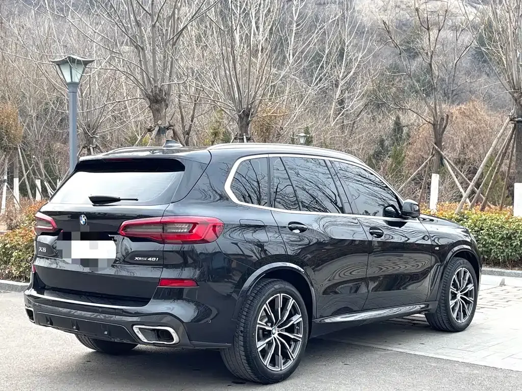 BMW X5 (Import) 2021 из CN, фото 4