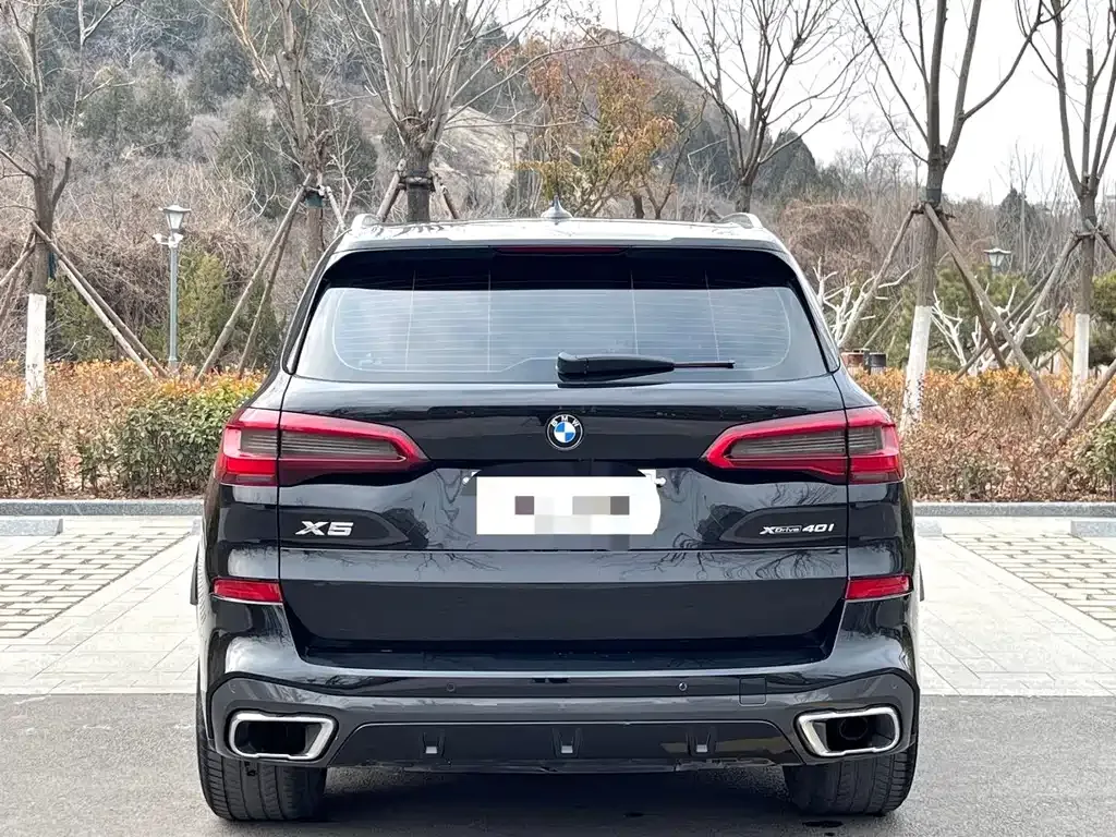 BMW X5 (Import) 2021 из CN, фото 5