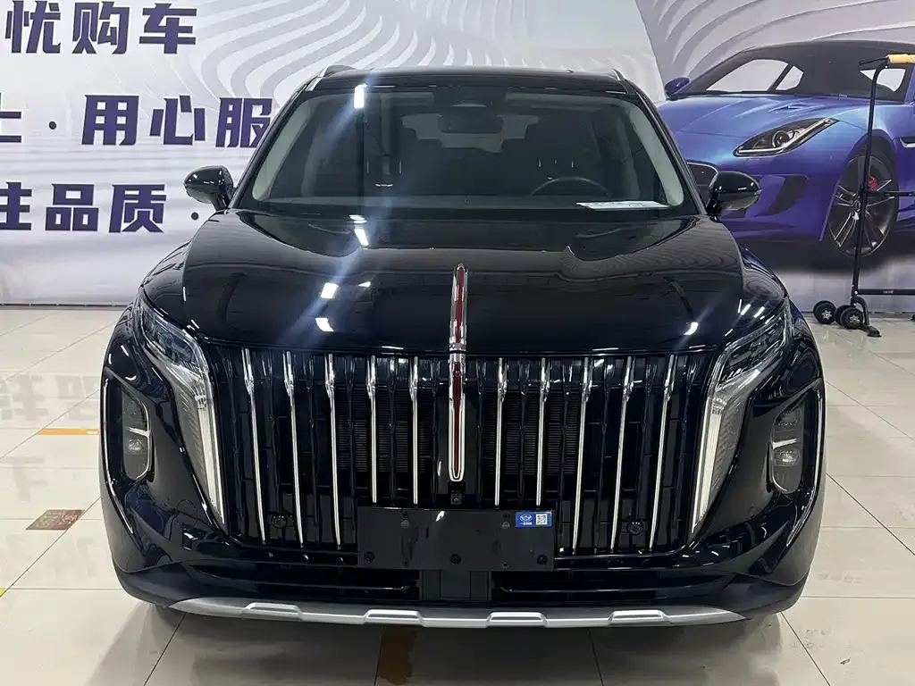 Hongqi HS7 PHEV 2024 из CN, фото 7