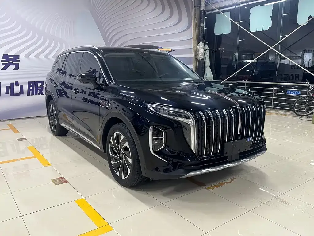 Hongqi HS7 PHEV 2024 из CN, фото 5