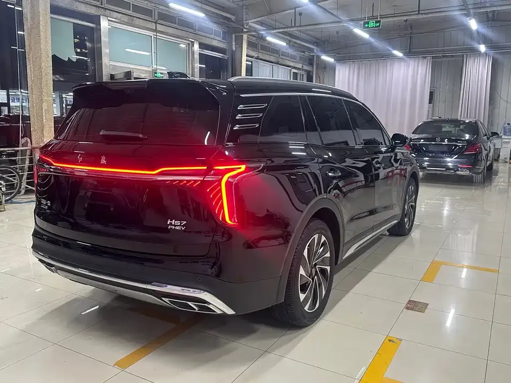 Hongqi HS7 PHEV 2024 из CN, фото 9