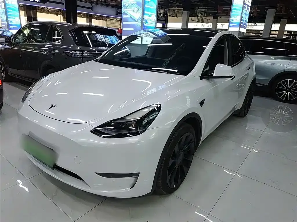 Tesla Model Y 2021 из CN, фото 1
