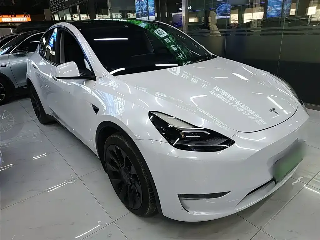 Tesla Model Y 2021 из CN, фото 6