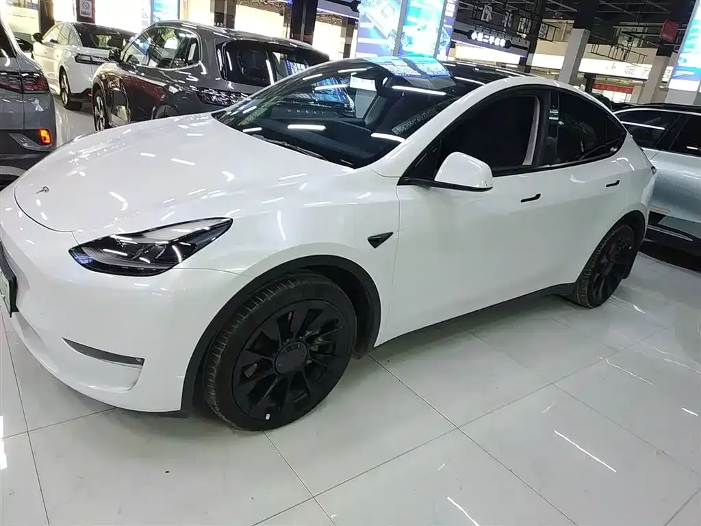 Tesla Model Y 2021 из CN, фото 8
