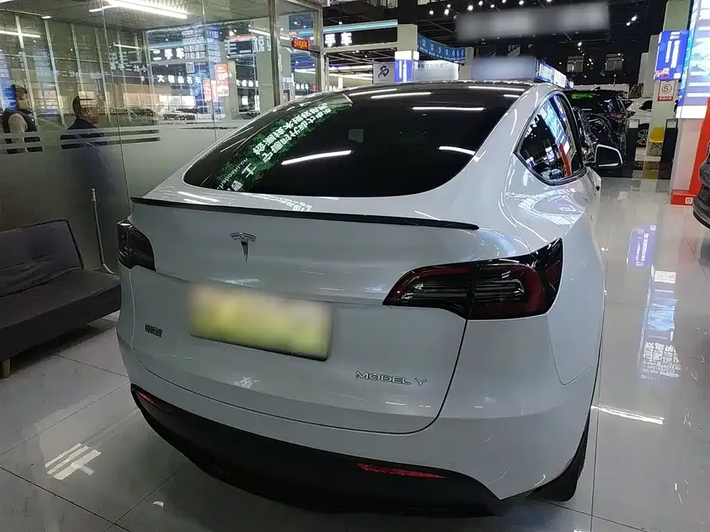 Tesla Model Y 2021 из CN, фото 9