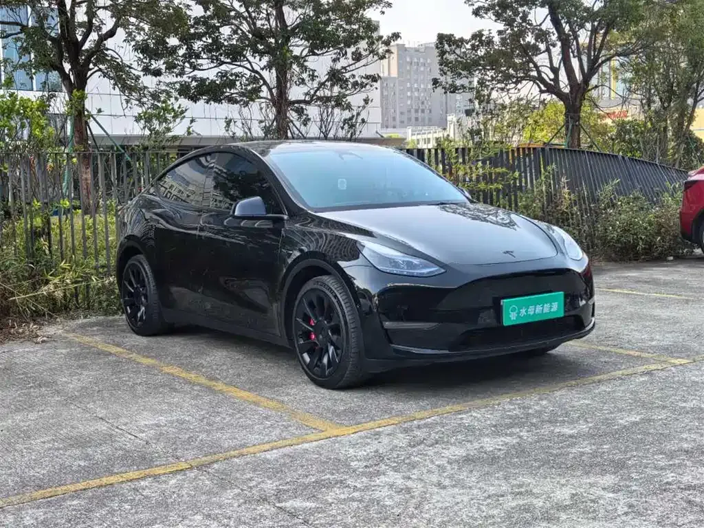 Tesla Model Y 2022 из CN, фото 5