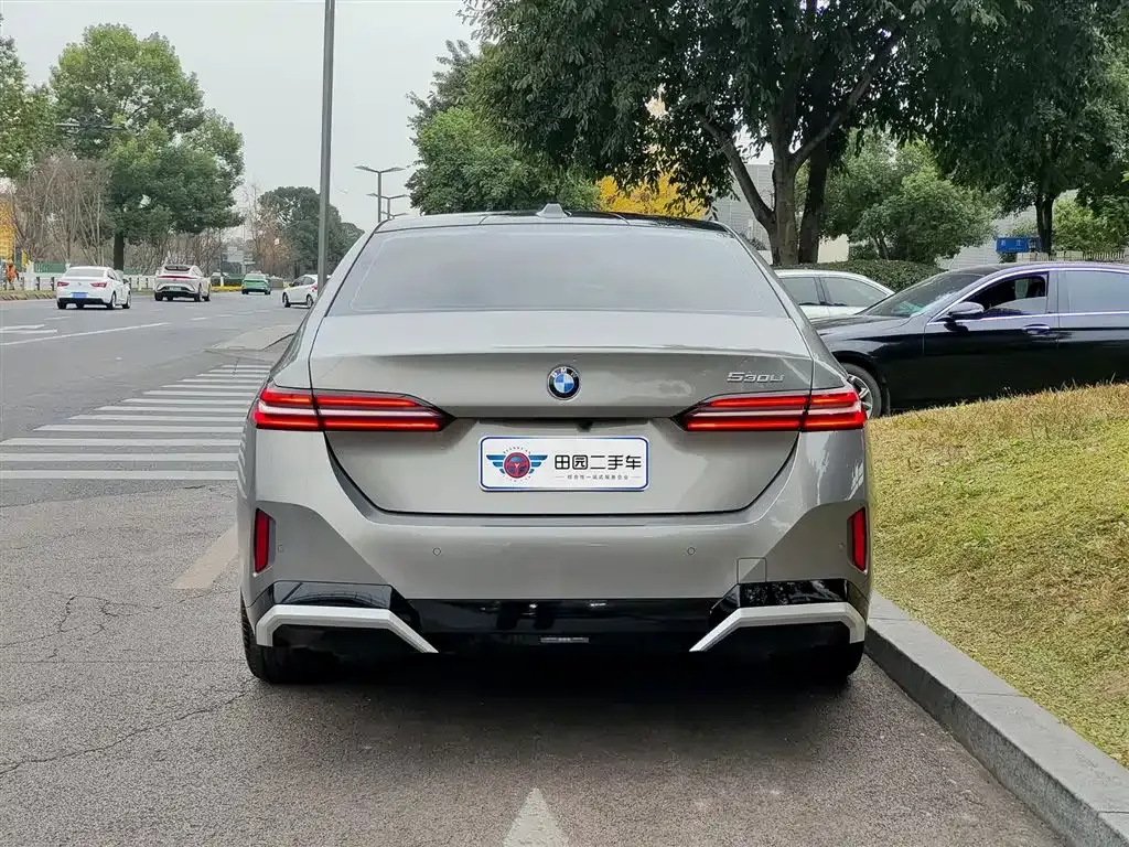 BMW 5 Series 2024 из CN, фото 9