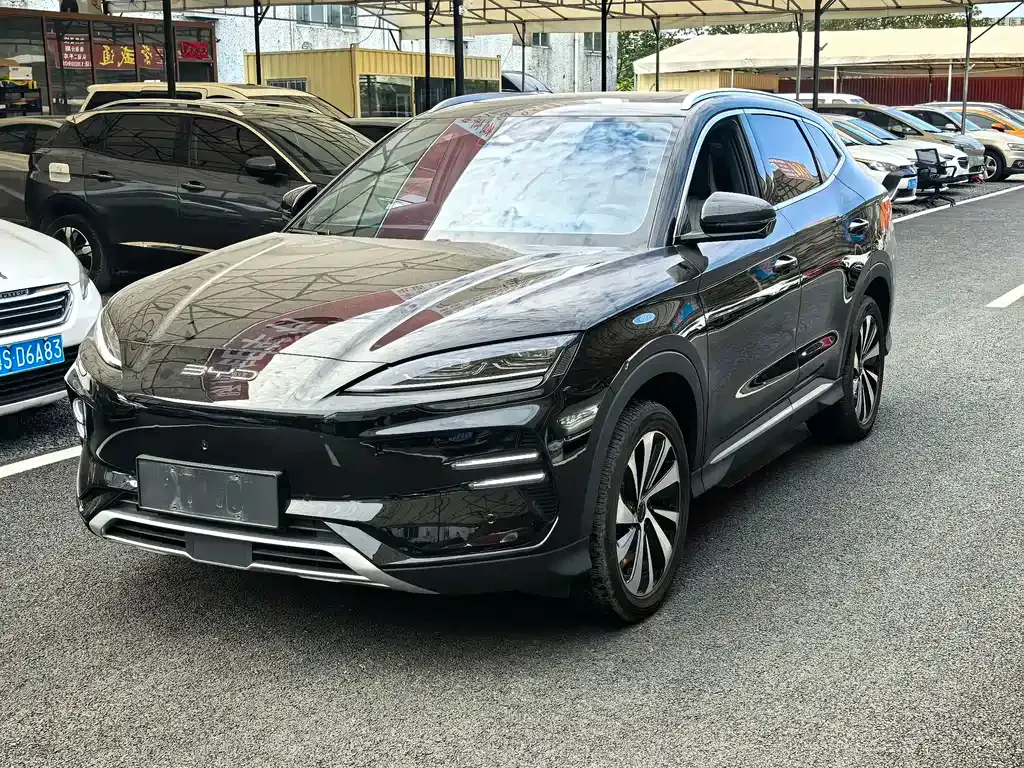 BYD PLUS New Energy — фото 1