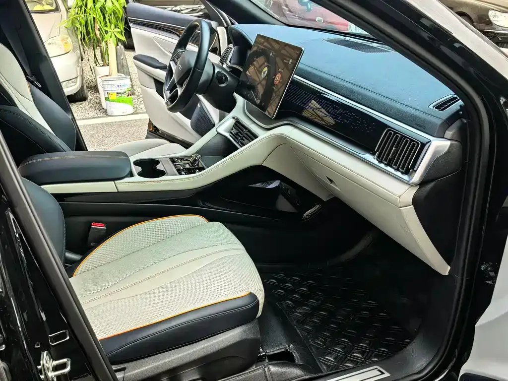BYD PLUS New Energy — фото 10