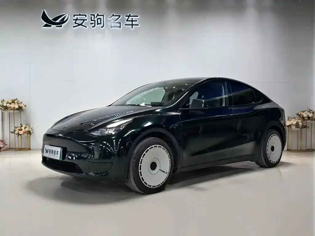 Tesla Model Y 2023 из CN, фото 1
