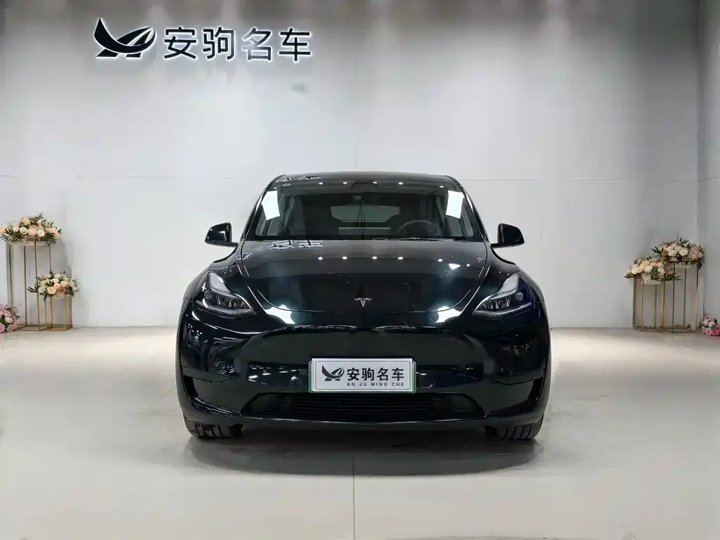 Tesla Model Y 2023 из CN, фото 5
