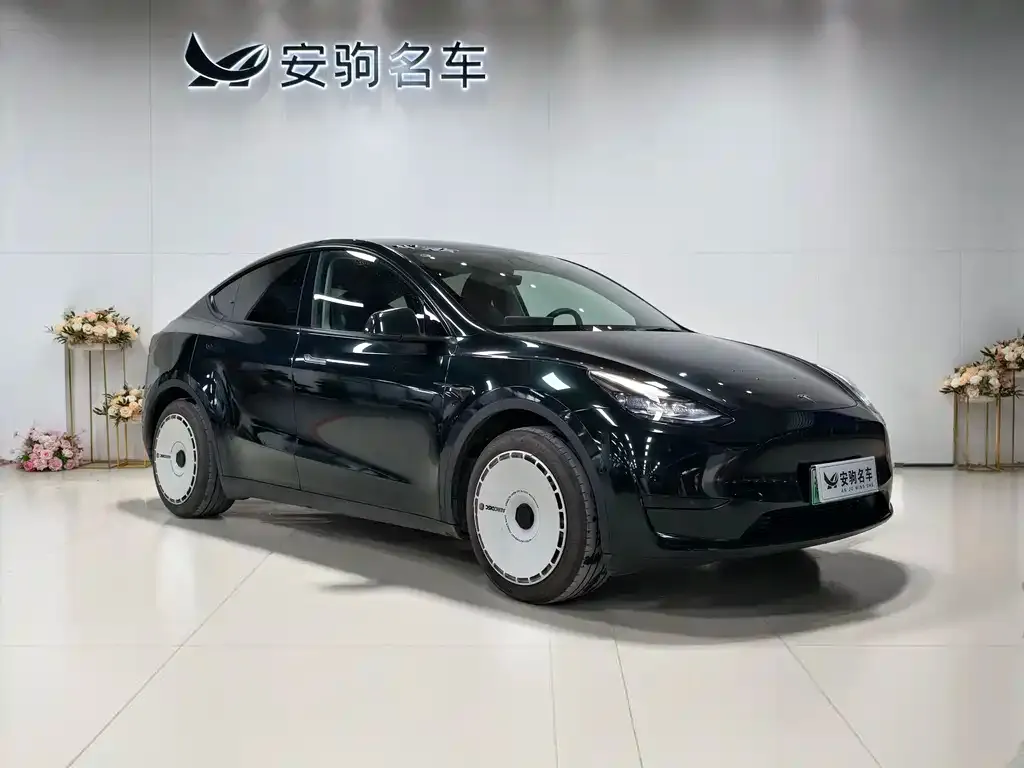 Tesla Model Y 2023 из CN, фото 2