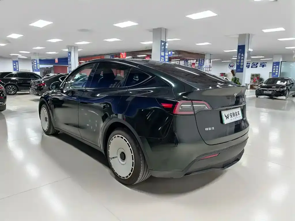 Tesla Model Y 2023 из CN, фото 6
