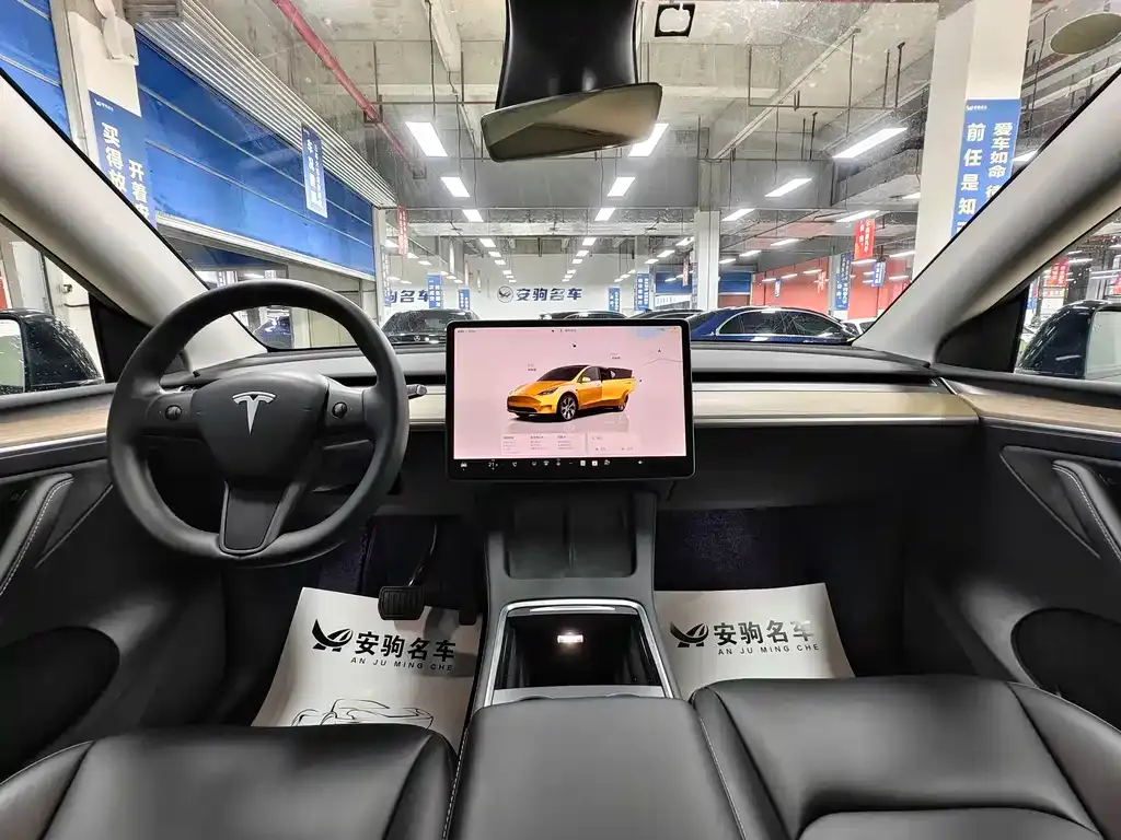 Tesla Model Y 2023 из CN, фото 8